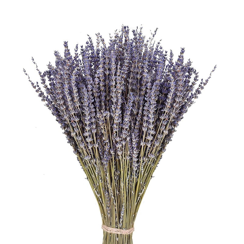 50-70Pcs Lavender Natural Dried Flower Bouquet