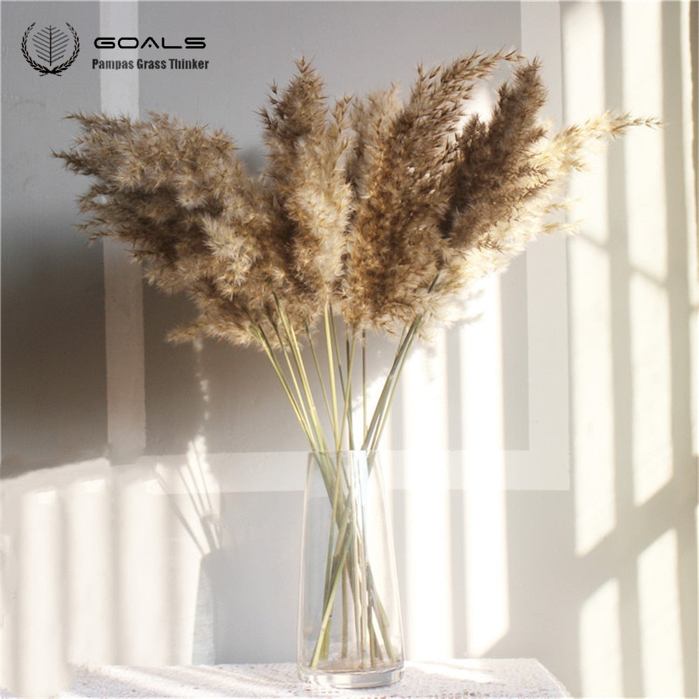 Dried Pampas Grass Decor