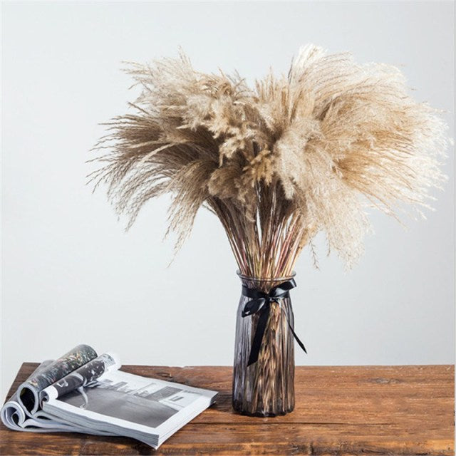 Dried Pampas Grass Decor